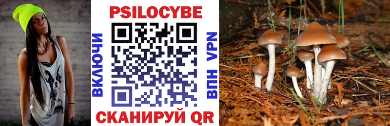 Псилоцибиновые грибы Cubensis  Кашира 