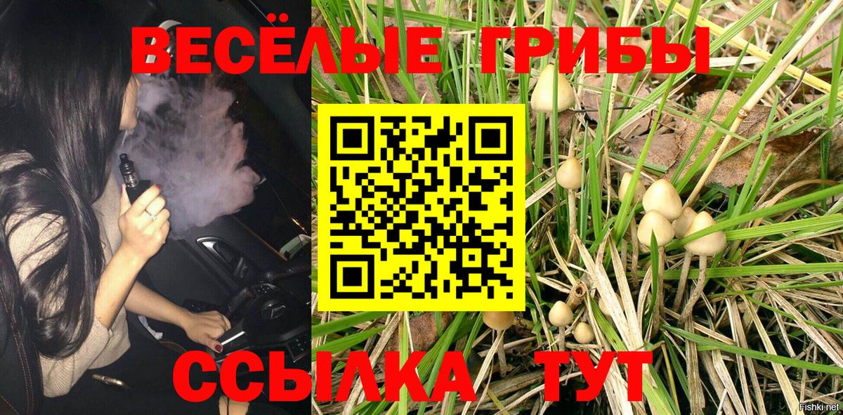 Галлюциногенные грибы Magic Shrooms Кашира