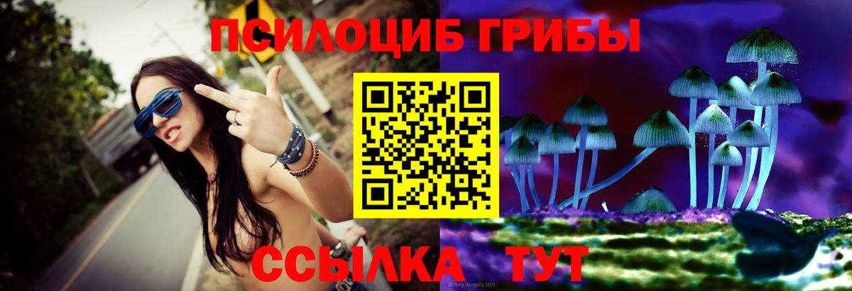 наркотики  Псилоцибиновые грибы Magic Shrooms  Галлюциногенные грибы Psilocybe  Вход с VPN  Кашира 